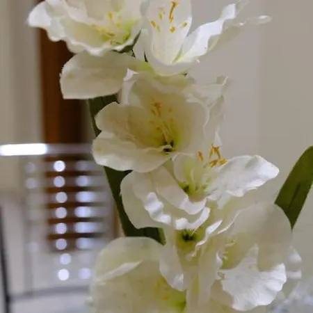 شقة White Tower Office-apartment سالونيك